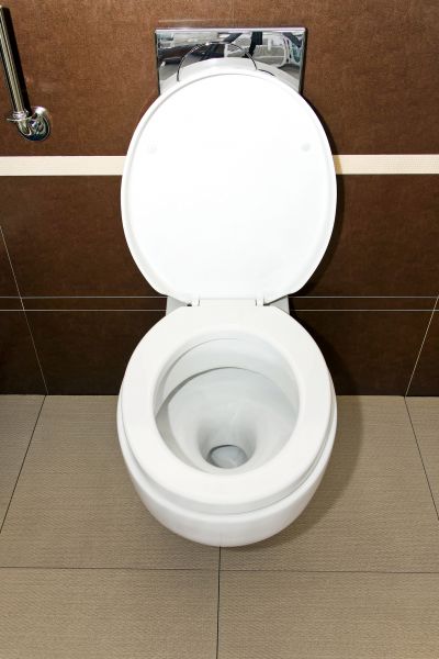 Toilet Seat Mounting