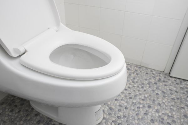 New Toilet Installation - New Toilet Installation Sarasota County, Florida